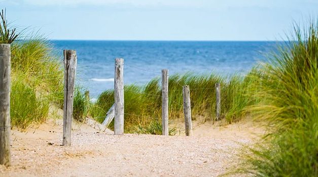 Argelès sur mer littoral